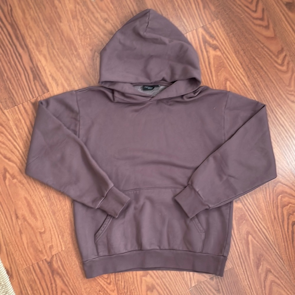 Aritzia Hoodie